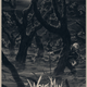 Illustration for article titled These Seven New Universal Monsters Posters Are Absolutely Stunning
